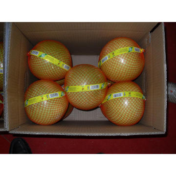 Honey Pomelo Fresh New Crop